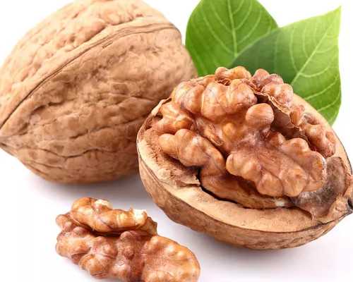 冻胚和囊胚能一起移植吗?冻胚跟冻囊胚可以一起移植吗?