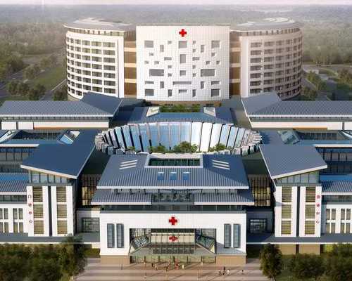 取卵后肠子绞痛