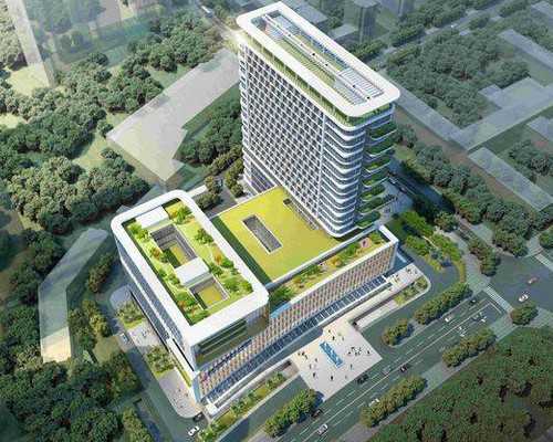 孕期吃火龙果的注意事项,代生子性别