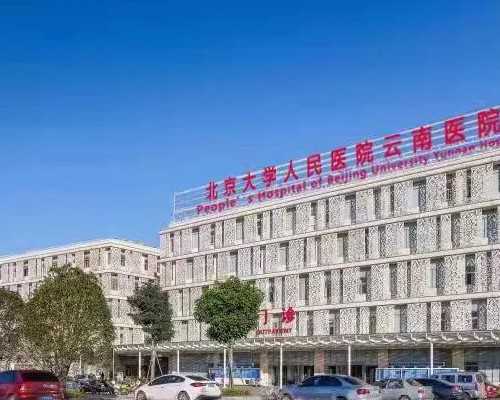 代孕公司怎样,阳泉三代试管助孕生子需花多少钱