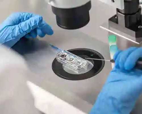 苏州附一院做二代试管的成功率怎么样?,苏州母子医院可以做唐氏筛查