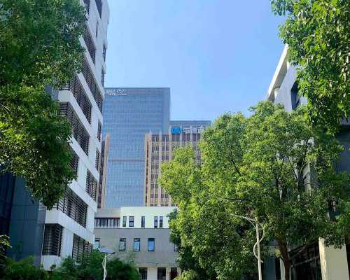 坐月子恶露多久排完,试管代生男孩