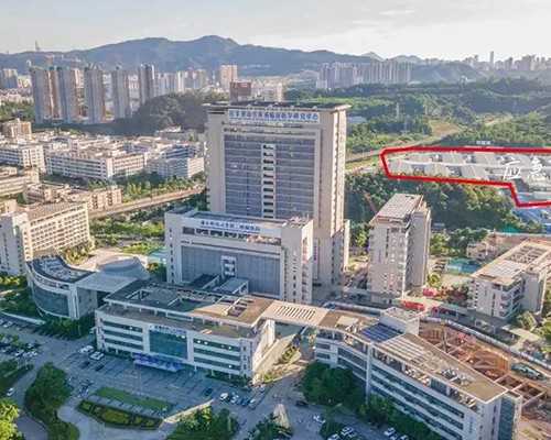 怀孕饥饿感很强是男是女？饥饿感觉会不会消失呢？