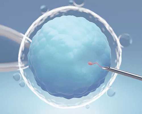 苏州代孕网官网,北京哪里有供卵试管生宝宝机构排卵异常影响生育吗?-西安供